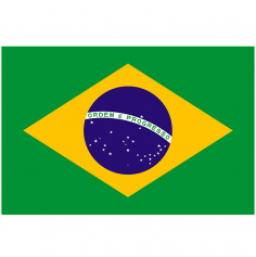 10 Drapeaux Brésil