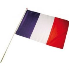 Un petit drapeau et sa hampe facile à transporter avec vous et suivre vos équipes préférées | jourdefete.com