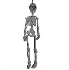 Squelette articulé "Mini Oscar"