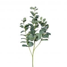 4 branches d'eucalyptus verte | jourdefete.com