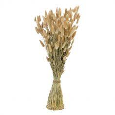 Placez ce magnifique bouquet de Lagurus Ovalus sur votre table | jourdefete.com