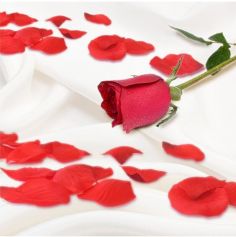 Pétales de rose - 15 g - Saint-Valentin - Collection Chéri Chérie