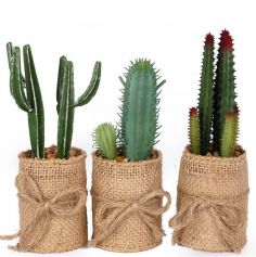 Décoration - Cactus en plastique dans Pot de Jute - 5 x 5 x 15 cm - Modèle au Choix
