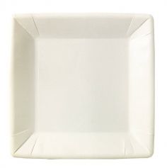 20 assiettes en carton blanches de 18 cm | jourdefete.com