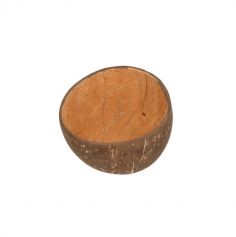 coconut-bols-noix-coco-biodegradable | jourdefete.com