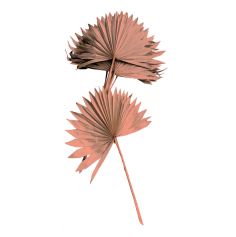 Lot de 10 feuilles de palmier rose du désert| jourdefete.com
