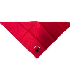 Foulard rouge brodé Nîmes pour Adulte