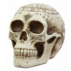 Décoration Halloween - Crâne gravé pentagramme