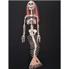 squelette_zombie_sirene_decoration_halloween | jourdefete.com