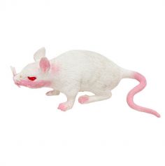 rat blanc en caoutchouc de 16,5 cm | jourdefete.com