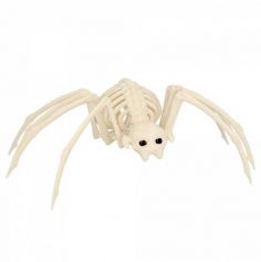 Un squelette d'araignée pour effrayer vos invités le soir d'halloween : Frissons garantis ! | jourdefete.com