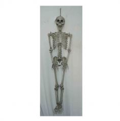 squelette-articulé-halloween | jourdefete.com