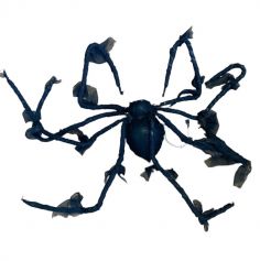 Araignée noire animée