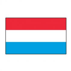 Lot de 10 drapeaux - Luxembourg