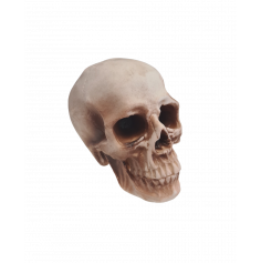 Cette tête de mort est à poser sur une table en tant que décoration d'Halloween | jourdefete.com