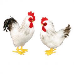 Poule ou Coq à plumes au choix | jourdefete.com