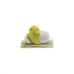 poussin dans œuf qui éclos de 7 cm | jourdefete.com