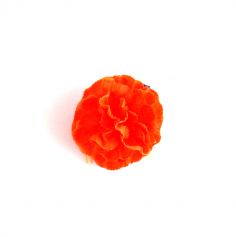 Peigne Fleur Hawaï-Orange