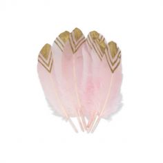 plumes-paillettes-or-rose | jourdefete.com