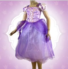 Robe de Princesse Violette Fille