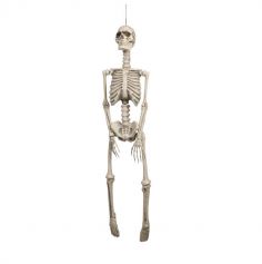 squelette à suspendre en plastique de 90 cm | jourdefete.com