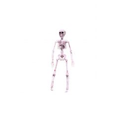 Ce squelette ensanglanté sera parfait pour être accroché à la fenêtre | jourdefete.com