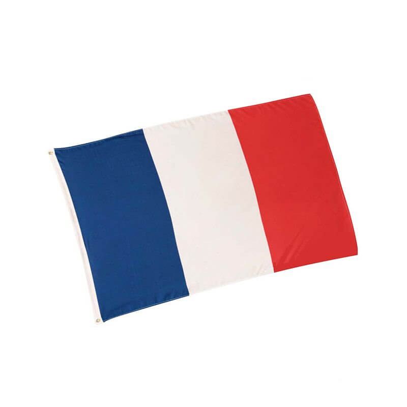YJZQ Drapeau à Table Mini Drapeau à Main Français US UK 14 x 21cm Drapeau Tricolore pour Bureau Soirée de fête Nation réunion 