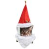 Chapeau de Père Noël pour Chat | jourdefete.com