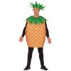 deguisement-ananas-costume-original | jourdefete.com