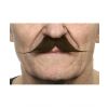 Moustache "Petit Dandy" - Brun