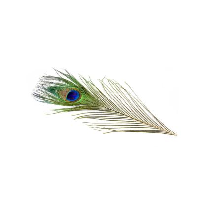 3 plumes de paon 25 cm | jourdefete.com