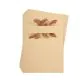 carte pour paln de table collection palm | jourdefete.com thumbnail